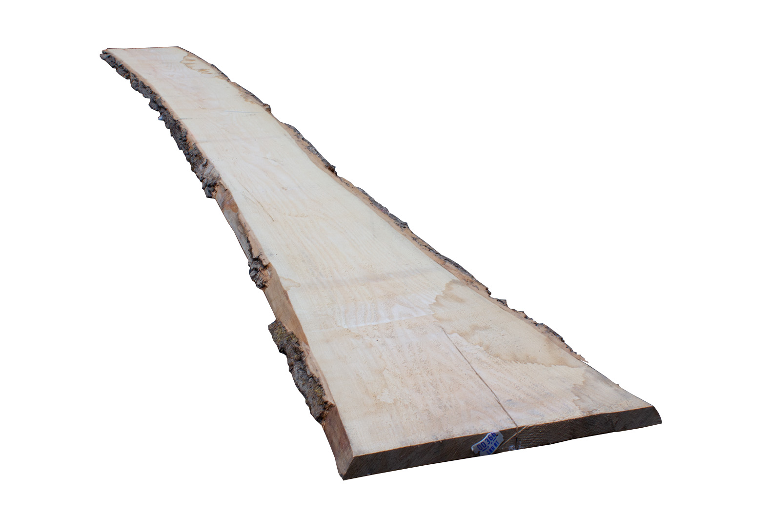 Esche Stammware KD