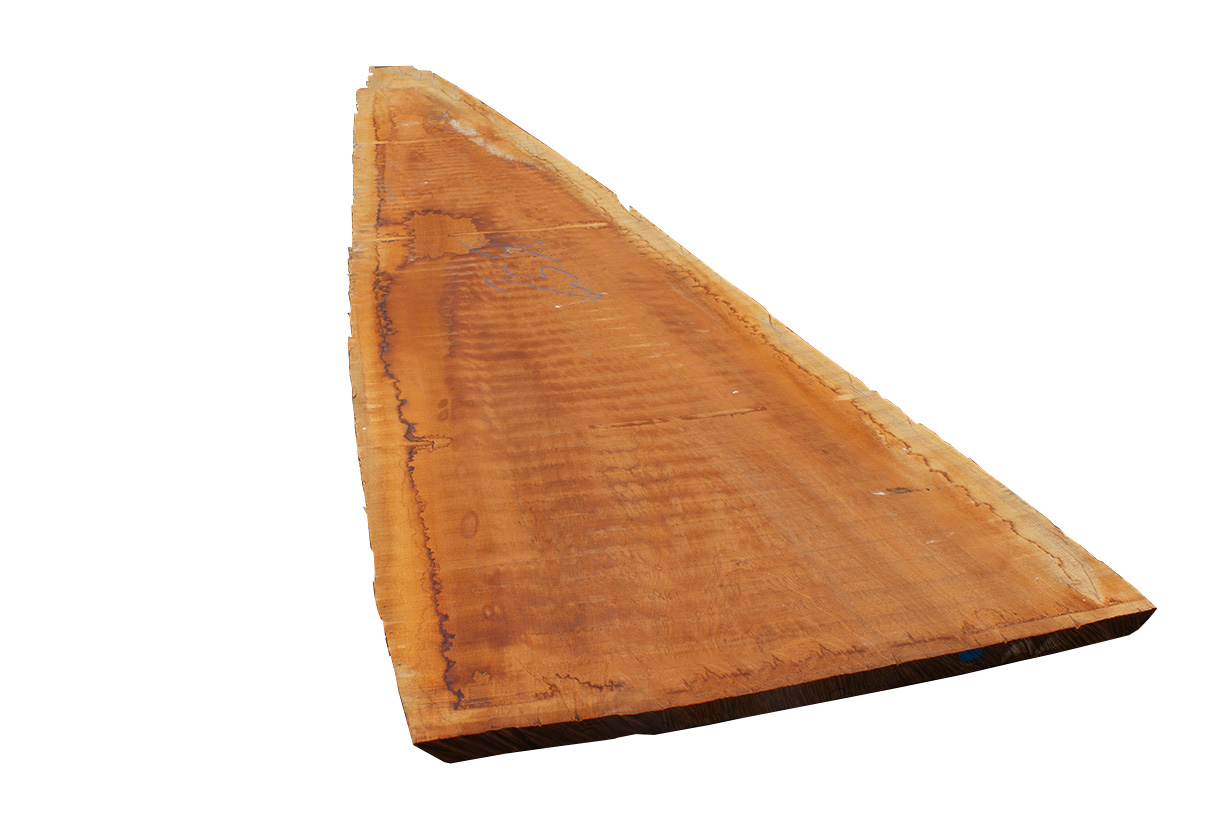 Mahagoni (Sapeli) Stammware KD