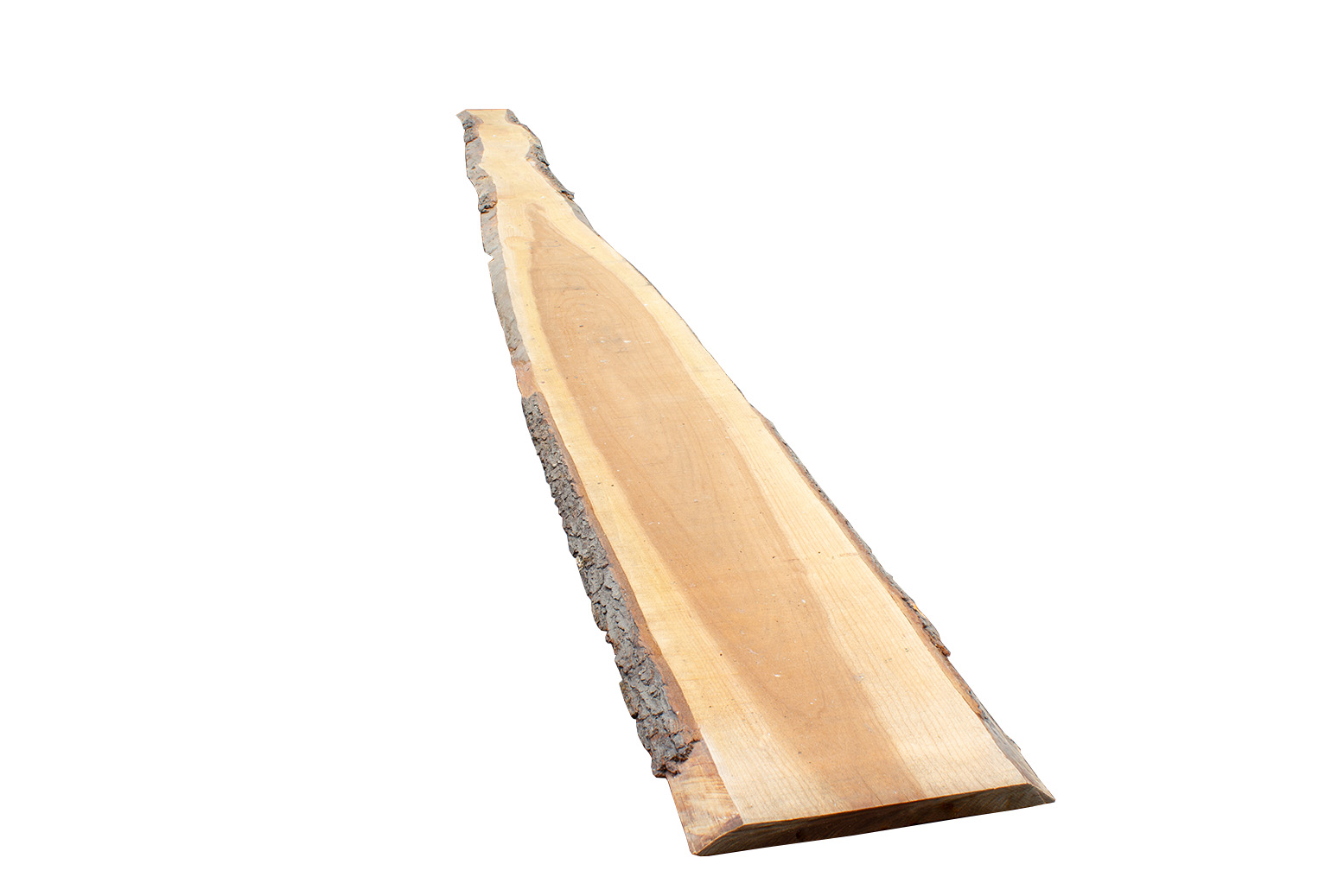 Black Cherry Stammware, KD