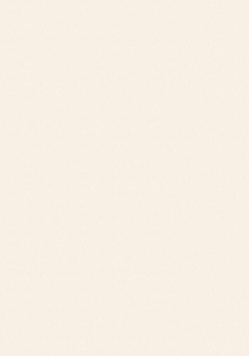 19 mm Kaindl Melamin Dekorspanplatte  E1 2507 BS Magnolia