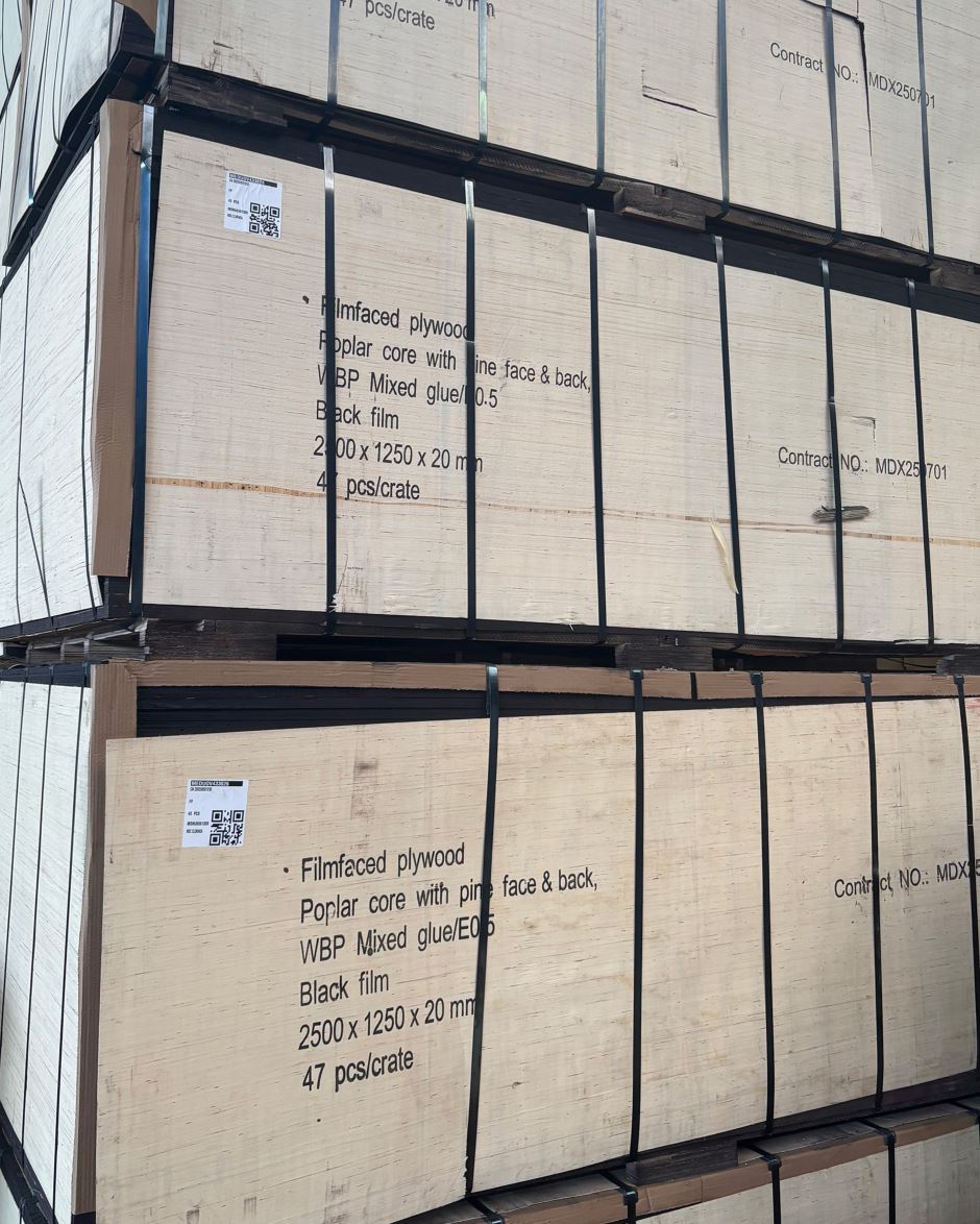 20 mm chin. Pappel/Kiefer Deck Film/Film beids. 180g/qm schwarzer Film,