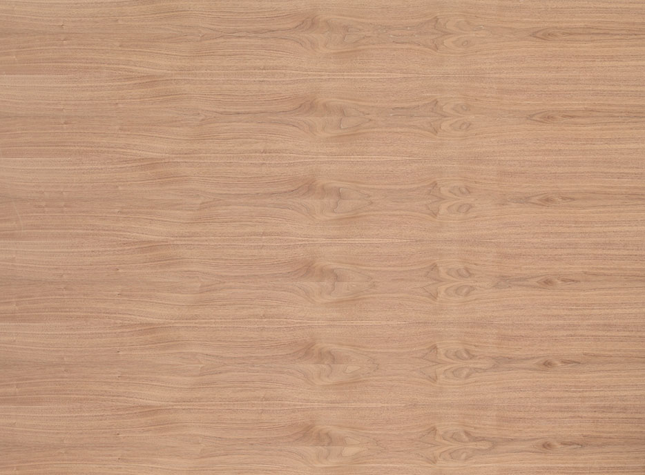 19 mm edelholzfurnierte Spanplatten E1 ami.Nußbaum,A+(First Quality)/B,gestürzt