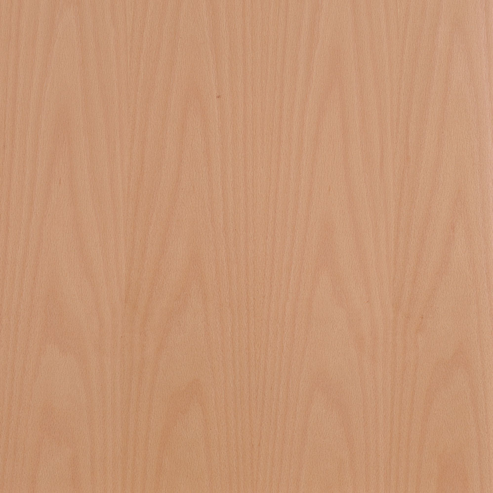 Ringo Türen Buche Typ WEH-37A-II Schallschutzeinlage 37db, eckig