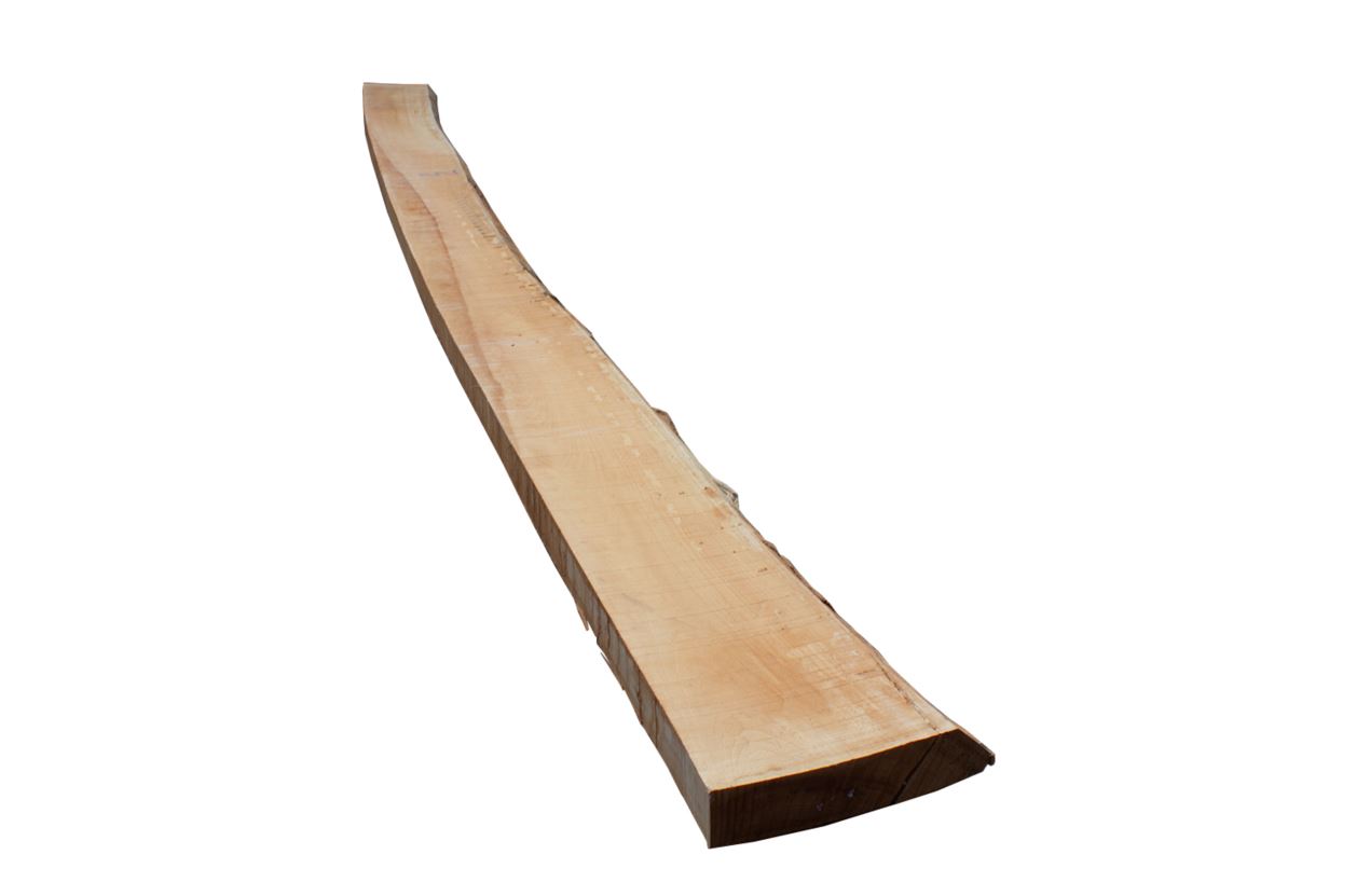 gedämpfte Buche Stammware KD