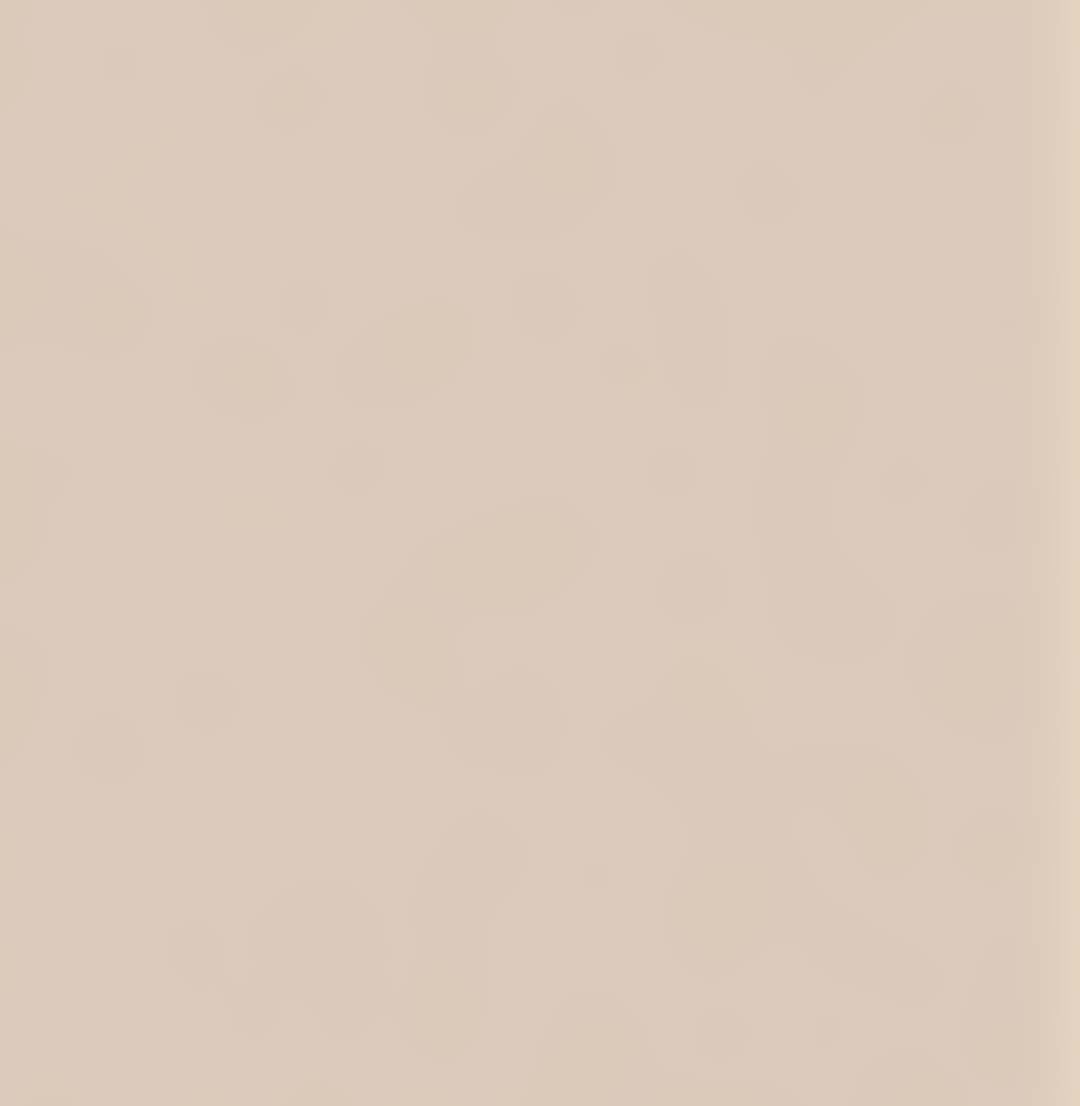19 mm Pfleiderer Melamin Dekorspanpl. E1 U 16003 SD Sandbeige (U 1343)