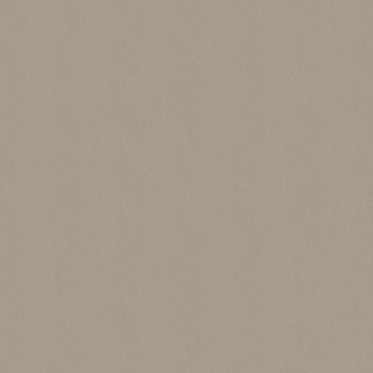 0,8 mm Pfleiderer HPL-Schichtstoff F 76160 SE Alux champagner