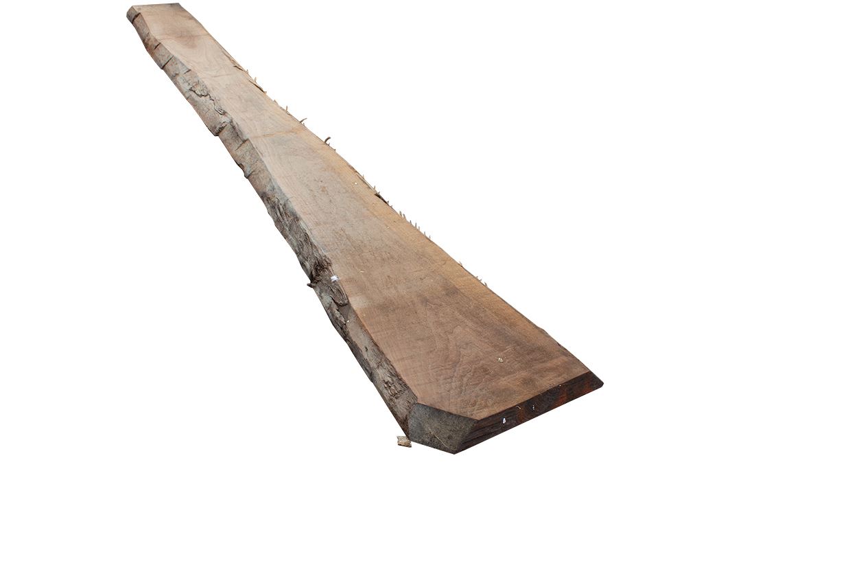 Black Walnut Stammware, KD