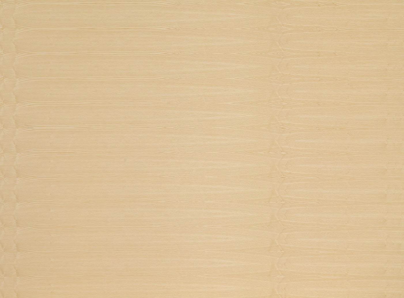 19 mm edelholzfurnierte Spanplatten E1 Esche hell, A/B-Qualität, gestürzt