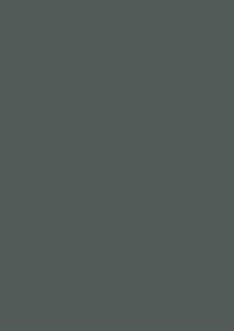 19 mm Kaindl Melamin Dekorspanplatte E1 25737 NM Verde