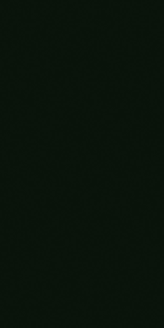 8 mm FunderMAX Compact EXT Surface PRO 0080 NP/NT Schwarz Paragon "MATT"