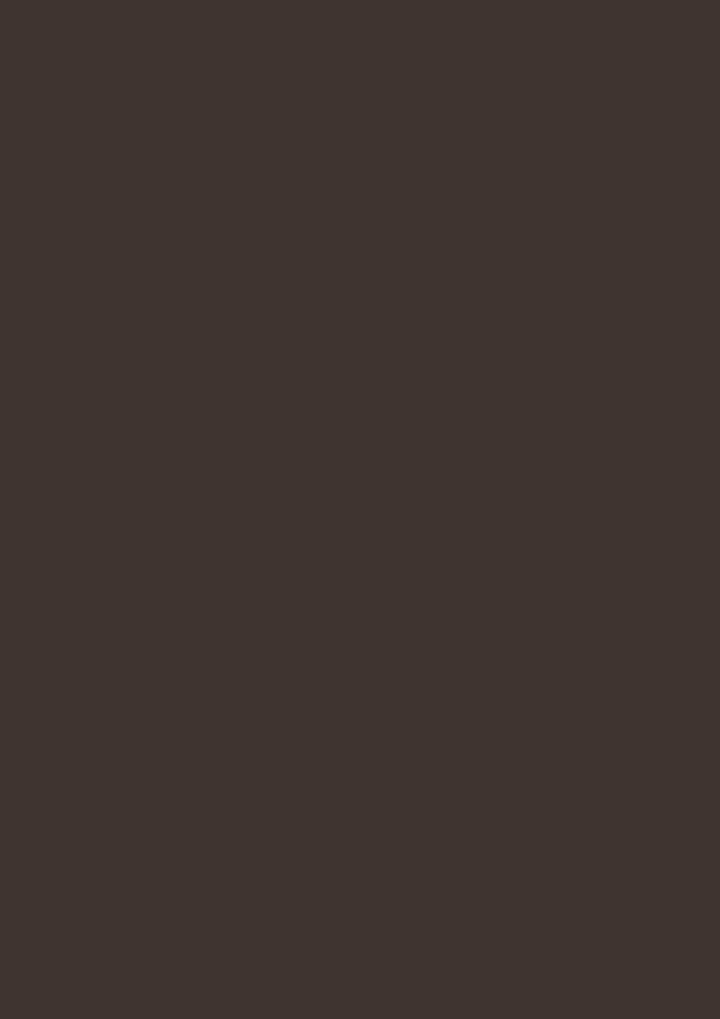 0,8 mm Kaindl Schichtstoffplatte 25726 OM/OFCameroBrownOPTIMATT