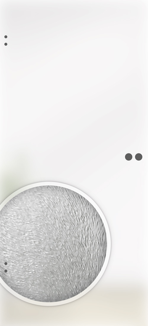 8 mm ESG Ganzglastür incl.Studio Schloß+Office Bandbohrungen