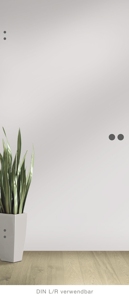 8 mm ESG Ganzglastür incl.Studio Schloß+Office Bandbohrungen