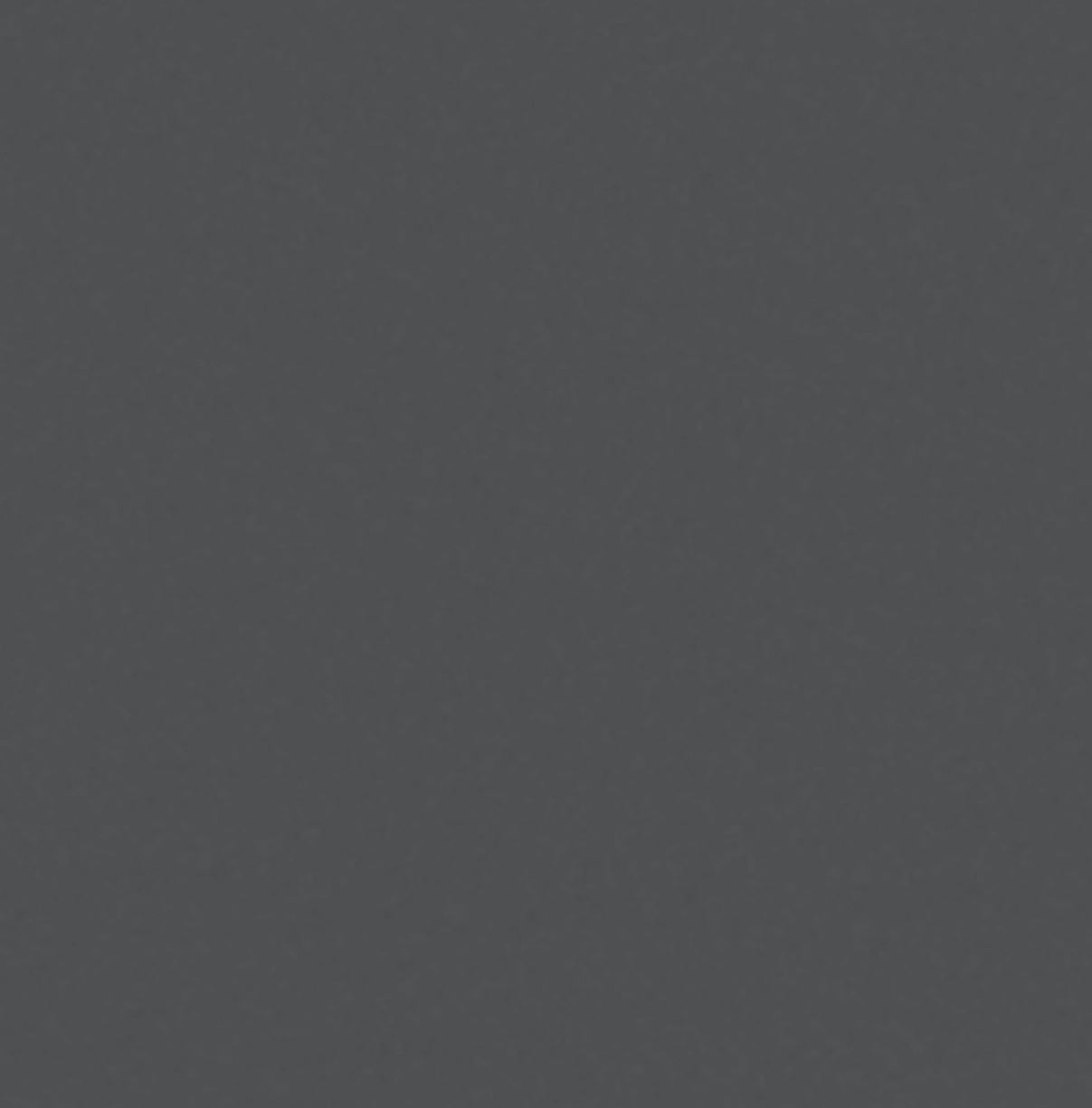 19mm Kaindl OPTIBOARD Verbundelement  2162 OM / PE Graphitgrau