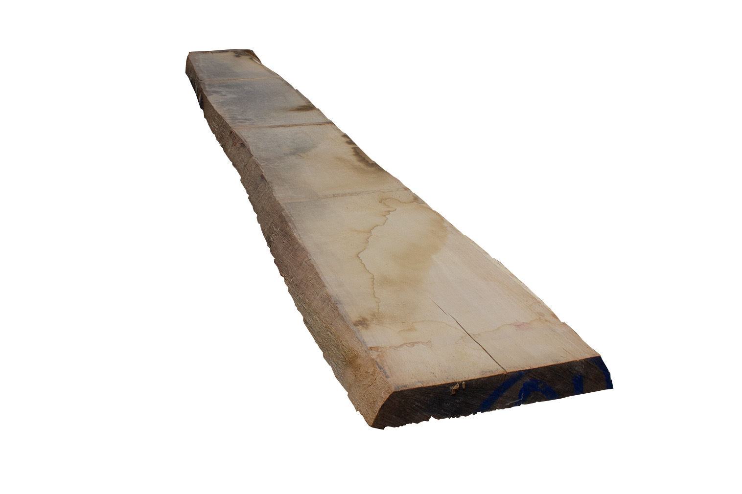 Eiche Stammware Treppeneiche KD