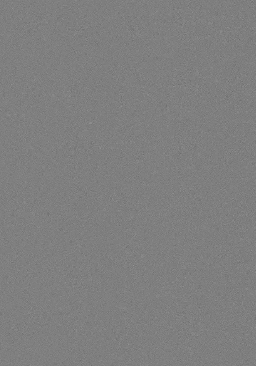 19mm Kaindl OPTIBOARD Verbundelement  2171 OM / PE Achatgrau