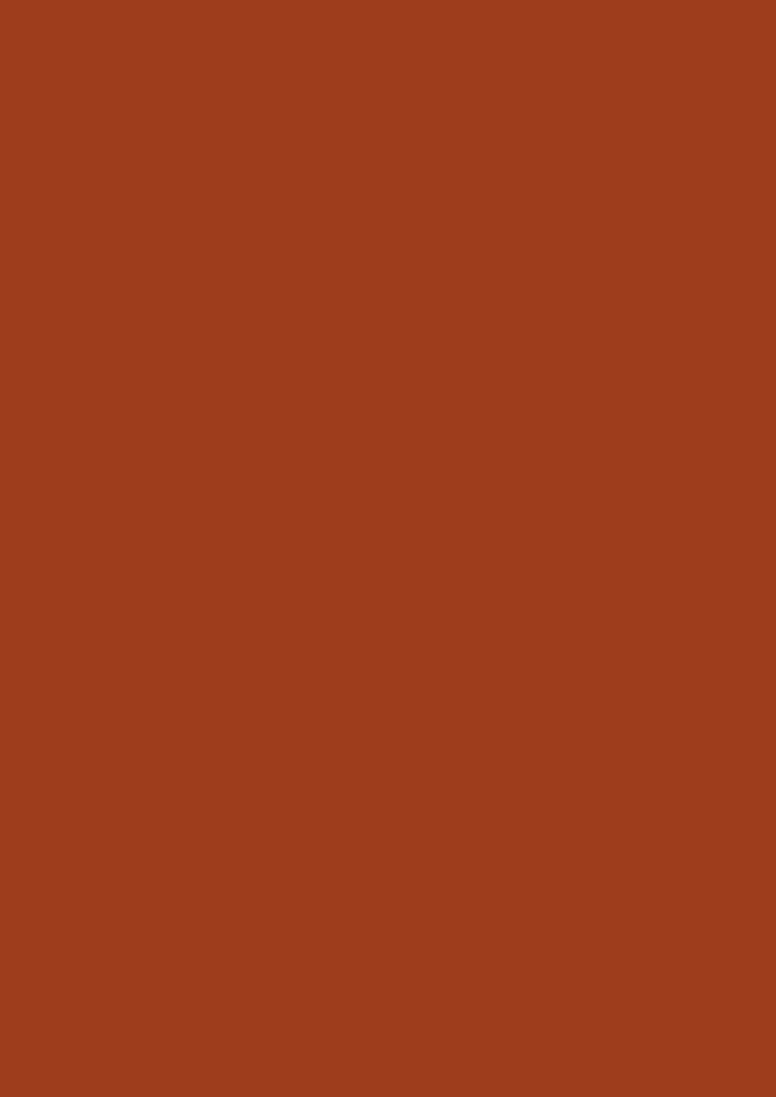 Kaindl Melamin Dekorspanplatte E1 2098 MN Ceramic Red