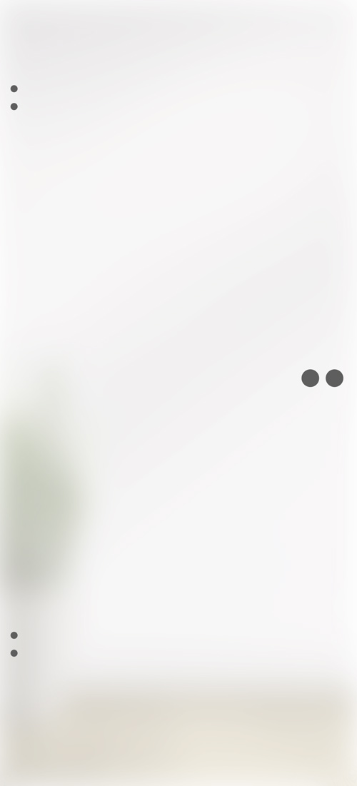 8 mm ESG Ganzglastür incl.Studio Schloß+Office Bandbohrungen