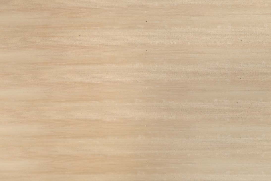 19 mm edelholzfurnierte Spanplatten E1 Buche ungedämpft