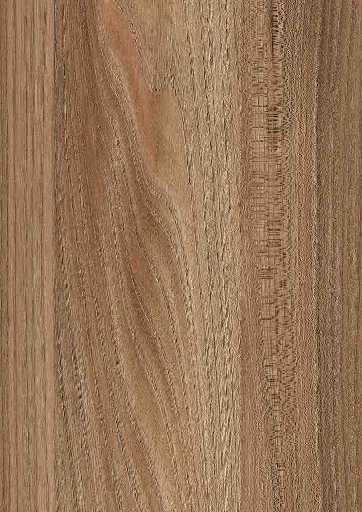 0,8 mm Kaindl Schichtstoffplatte K5277 AW Ulme Sangallo Outback