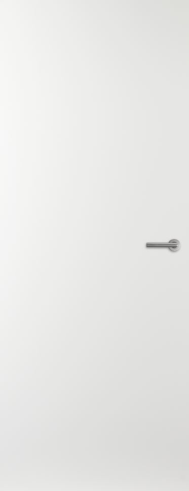 DEXTÜRA WE-Tür extraweiß ähnl. 9016 VSP - SSK.1 - KKL. III - TE-Kante