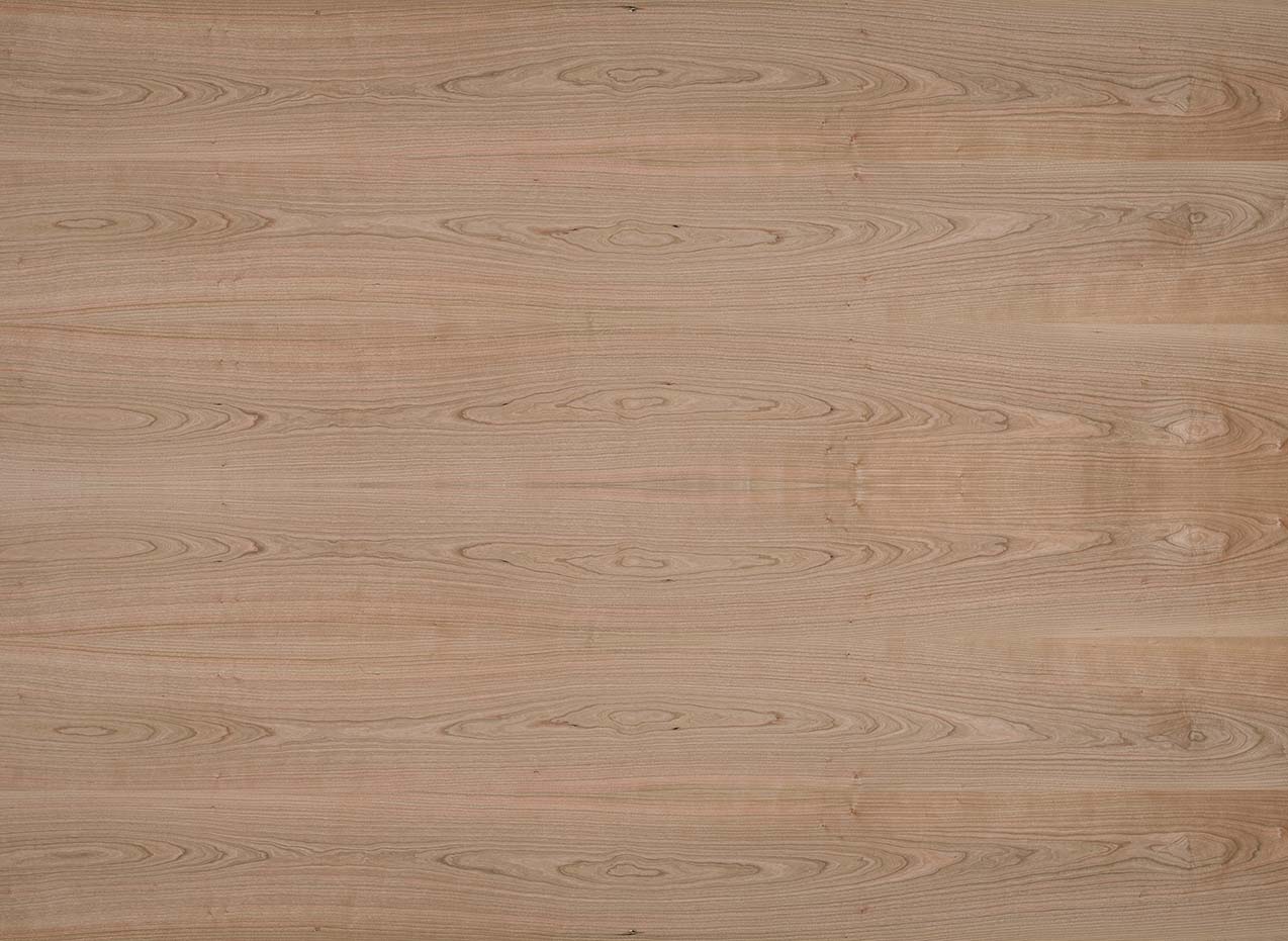 19 mm edelholzfurnierte Spanplatte E1 ami. Kirschbaum, A+ (First Quality) / B