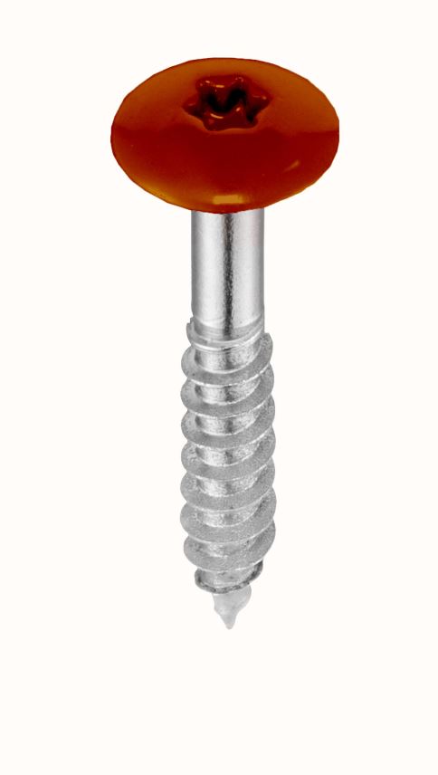 5,5 x 35 mm Fassadenschrauben, A4, Torx, für FunderMax, 12mm Kopf, Pak.á 250 St.